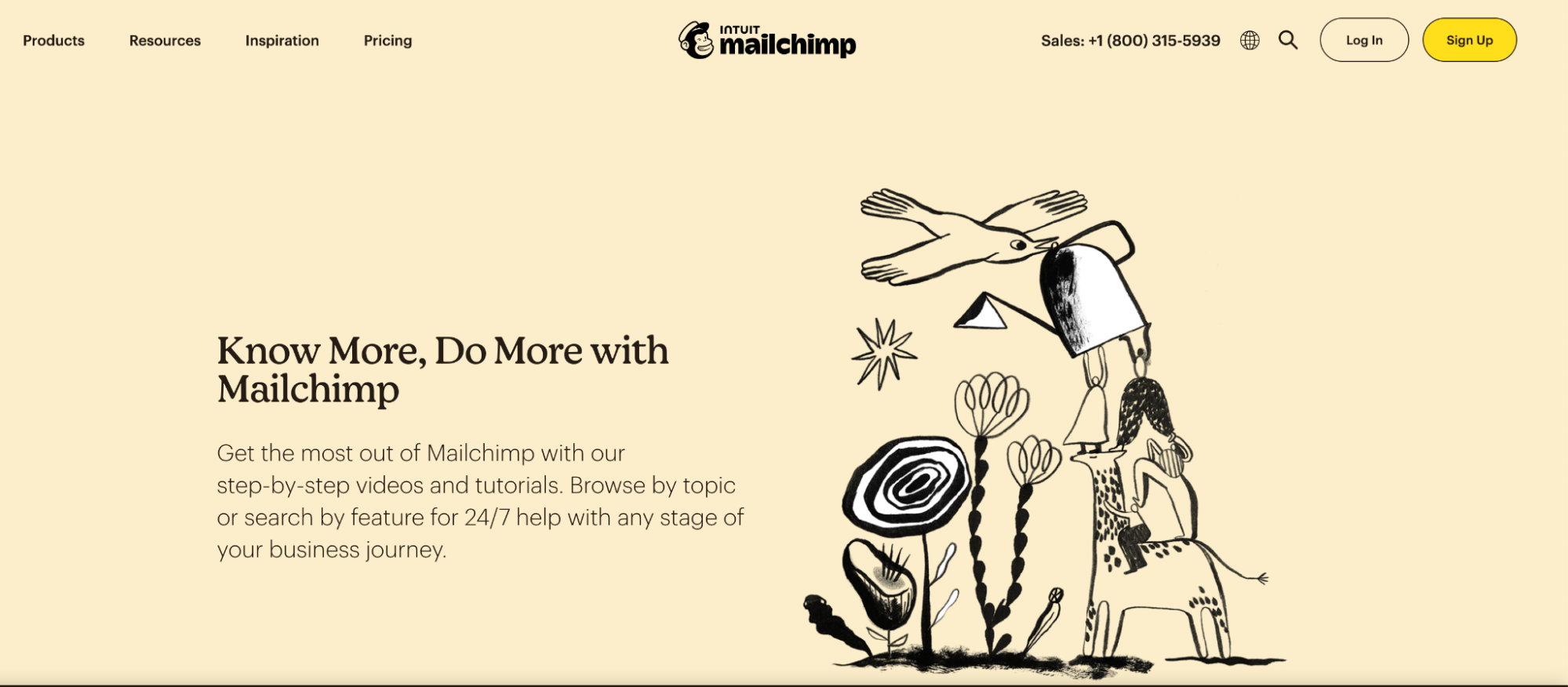Screenshot of a MailChimp page